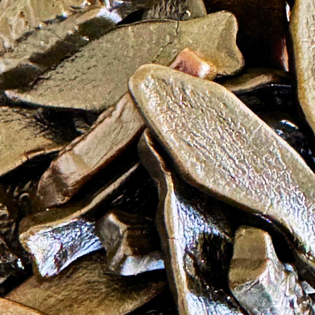 Salty Herring
